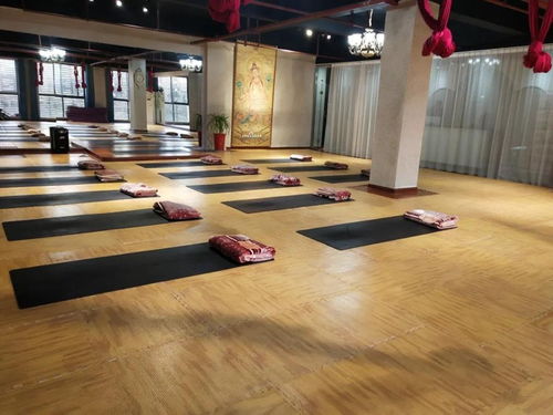 暖豐石墨烯電熱膜地暖 瑜伽館、養(yǎng)生館與健身房的應(yīng)用優(yōu)勢(shì)及研發(fā)進(jìn)展